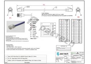 Cat5 Module Wiring Diagram Cat 5 Cable Wiring Diagram Wiring Diagram Database