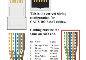 Cat5 Module Wiring Diagram Cat5 B Wiring Wiring Diagram