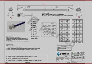 Cat5 Module Wiring Diagram Cat5e Cat6 Wiring Diagram Wiring Diagram Database