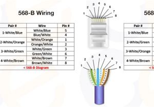 Cat5 Module Wiring Diagram Rj45 Cat5e Wiring Diagram Wiring Diagram Name