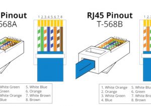 Cat5 Module Wiring Diagram Rj45 Cat5e Wiring Diagram Wiring Diagram Name