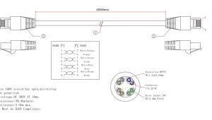 Cat5 to Dmx Wiring Diagram Cat5 Rj45 Wiring Diagram 568b Wiring Diagrams All