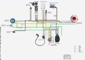 Chinese 70cc atv Wiring Diagram Chinese atv Wiring Diagram 110 Blog Wiring Diagram