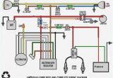 Chinese 70cc atv Wiring Diagram Chinese atv Wiring Diagram 110 Blog Wiring Diagram