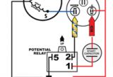 Compressor Start Capacitor Wiring Diagram Hard Start Hard Start Kit Start Capacitor Compressor for Air