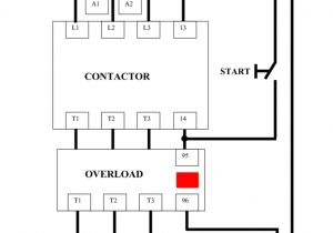 Control Wiring Diagram Three Phase Dol Starter Wiring Diagram Component Single Motor