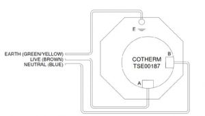 Cotherm thermostat Wiring Diagram Immersion Heater thermostat Wiring Diagram Facias