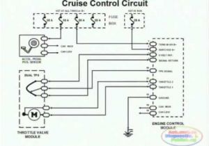 Cruise Control Wiring Diagram Chevrolet Cruise Control Schematic Wiring Of 1997 Chevrolet Corvette Data