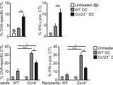 Dp 241 8 24 Wiring Diagram Ccl22 Controls Immunity by Promoting Regulatory T Cell Communication