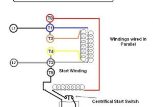 Emerson Electric Motors Wiring Diagram Ce 5000 Emerson Electric Motor Lr22132 Wiring Schematic for