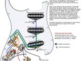Fender American Standard Stratocaster Wiring Diagram Wiring Diagram Fender Stratocaster Wiring Diagram Mega
