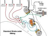 Fender Jazz Wiring Diagram Fender Wire Diagram Wiring Diagram Operations