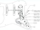 Fender S 1 Wiring Diagram Texas Special Wiring Diagram Wiring Diagram toolbox