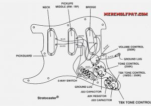 Fender Strat Plus Wiring Diagram 1995 Fender Stratocaster Wiring Diagram Wiring Diagram today