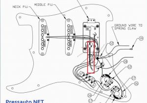 Fender Strat Plus Wiring Diagram Wiring Diagram for Strat Wiring Diagrams Data