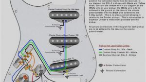 Fender Stratocaster Wiring Diagram 1967 Fender Stratocaster Wiring Harness Wiring Diagram Mega