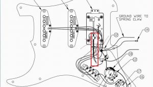 Fender Stratocaster Wiring Diagrams Standard Fender Strat Wiring Diagram Wiring Diagram Review