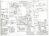 Gas Hot Water Heater Wiring Diagram Rheem Gas Heater Wiring Diagram Wiring Diagram Database Site