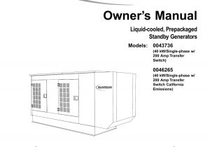 Generac Portable Generator Wiring Diagram Generac Portable Generator 0043736 0046265 User Manual