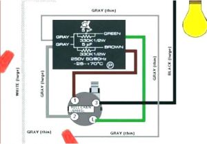 Hampton Bay 3 Speed Fan Wiring Diagram Chain Switch Wiring Diagram Wiring Diagram Standard