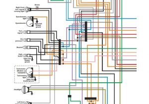 Harley Davidson Tail Light Wiring Diagram 1994 Harley Davidson Sportster Wiring Diagram Wiring Diagram Inside