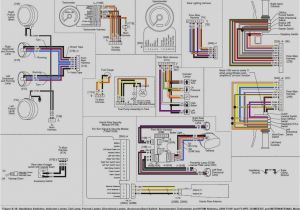 Harley Davidson Tail Light Wiring Diagram 2006 Harley Wiring Diagram Wiring Diagram Split