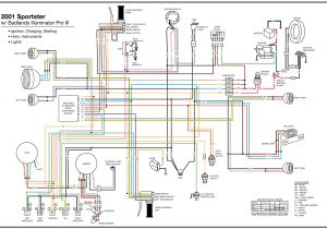 Harley Davidson Tail Light Wiring Diagram Harley Davidson Wiring for Dummies Wiring Diagram List