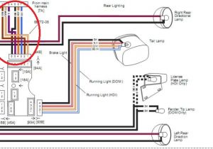 Harley Davidson Tail Light Wiring Diagram Harley Light Wiring Diagram My Wiring Diagram