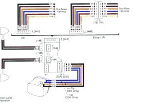 Harley Davidson Tail Light Wiring Diagram Wire Diagram 1999 Harley Evo Wiring Diagram Name