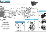 Hayward Super Ii Pump Wiring Diagram Hayward Super Ii Pump Parts