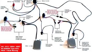 Hid Xenon Lights Wiring Diagram Can Bus Hid Kit Wiring Diagram Wiring Diagram