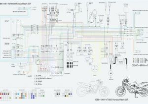 Honda Shadow 1100 Wiring Diagram 1100 Honda Shadow Wiring Diagram Wiring Diagram Centre