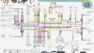 Honda Wave 100 Wiring Diagram Pdf Honda Wave 110 Wiring Wiring Diagram Expert