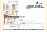 How to Wire A Honeywell thermostat Diagram Wiring Diagram Likewise Wiring A Honeywell thermostat Electric Heat