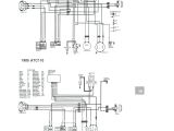 Kazuma Meerkat 50 Wiring Diagram Kazuma Raptor 50cc atv Wiring Diagram Wiring Diagram