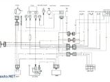 Kazuma Mini Falcon 90 Wiring Diagram Kazuma 150 Wiring Diagram Wiring Diagram