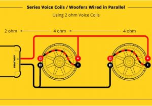 Kicker Comp D Wiring Diagram Kicker Comp 12 Wiring Diagram Eyelash Me