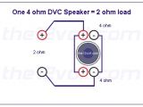 Kicker Dvc Wiring Diagram Dual Dvc Wiring In Kicker L5 12 Diagram Eyelash Me