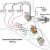 Les Paul Custom 3 Pickup Wiring Diagram Images Of Fender Stratocaster Pickup Wiring Diagram Wire