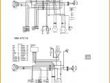 Lifan 50cc Wiring Diagram Lifan Wiring Diagram 124 3cm Wiring Diagram Inside