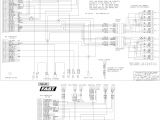 Ls1 Wiring Diagram Wrg 9424 Ez Wiring Harness
