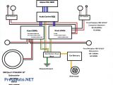 Mach 1000 Audio System Wiring Diagram P801 Car Stereo Wiring Harness Wiring Diagram Article Review