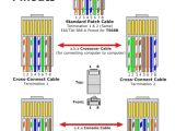 Network Crossover Cable Wiring Diagram Phone Cat 5 Wiring Diagram Wiring Diagram Perfomance
