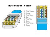 Ortronics Patch Panel Wiring Diagram Cat 5 Patch Panel Wiring Diagram Free Download Wiring Diagram