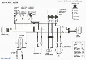 Panther 110 atv Wiring Diagram Wiring Diagram for Chinese 110 atv Eyelash Me