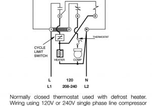 Paragon 8141 Wiring Diagram Paragon 8141 Wiring Diagram Best Of Defrost Timer Wiring Diagram 240