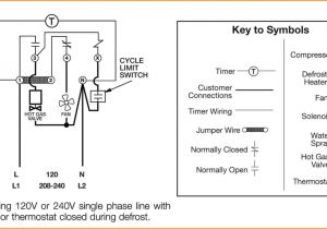 Paragon 8141 Wiring Diagram Paragon 8141 Wiring Diagram Lovely Paragon Defrost Timer 8145 20