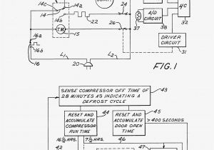 Paragon 8141 Wiring Diagram Paragon 8141 Wiring Diagram Lovely Paragon Defrost Timer 8145 20