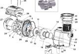 Pentair Intelliflo Wiring Diagram Pentair Intelliflo Vf Parts Inyopools Com