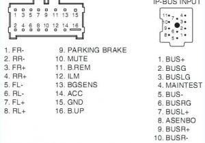 Pioneer Deh 1600 Wiring Diagram Pioneer Deh 16 Wiring Diagram Wiring Diagram Review